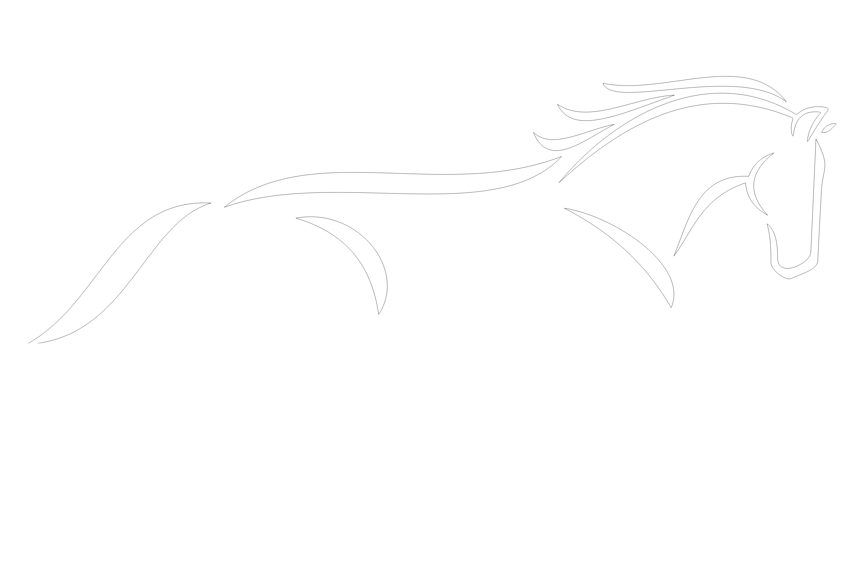 Albora Equestrian Equipment